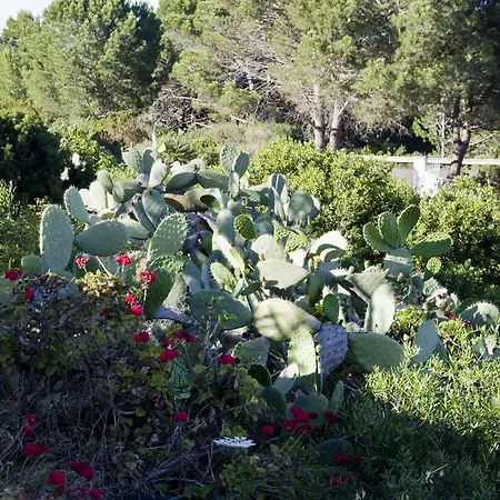 Pein Carloforte (Isola di San Pietro)